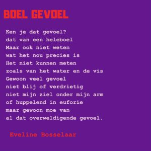 Boel Gevoel